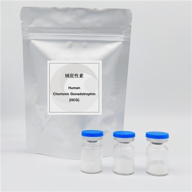 HCG inson xorionik gonadotropin CAS 9002-61-3